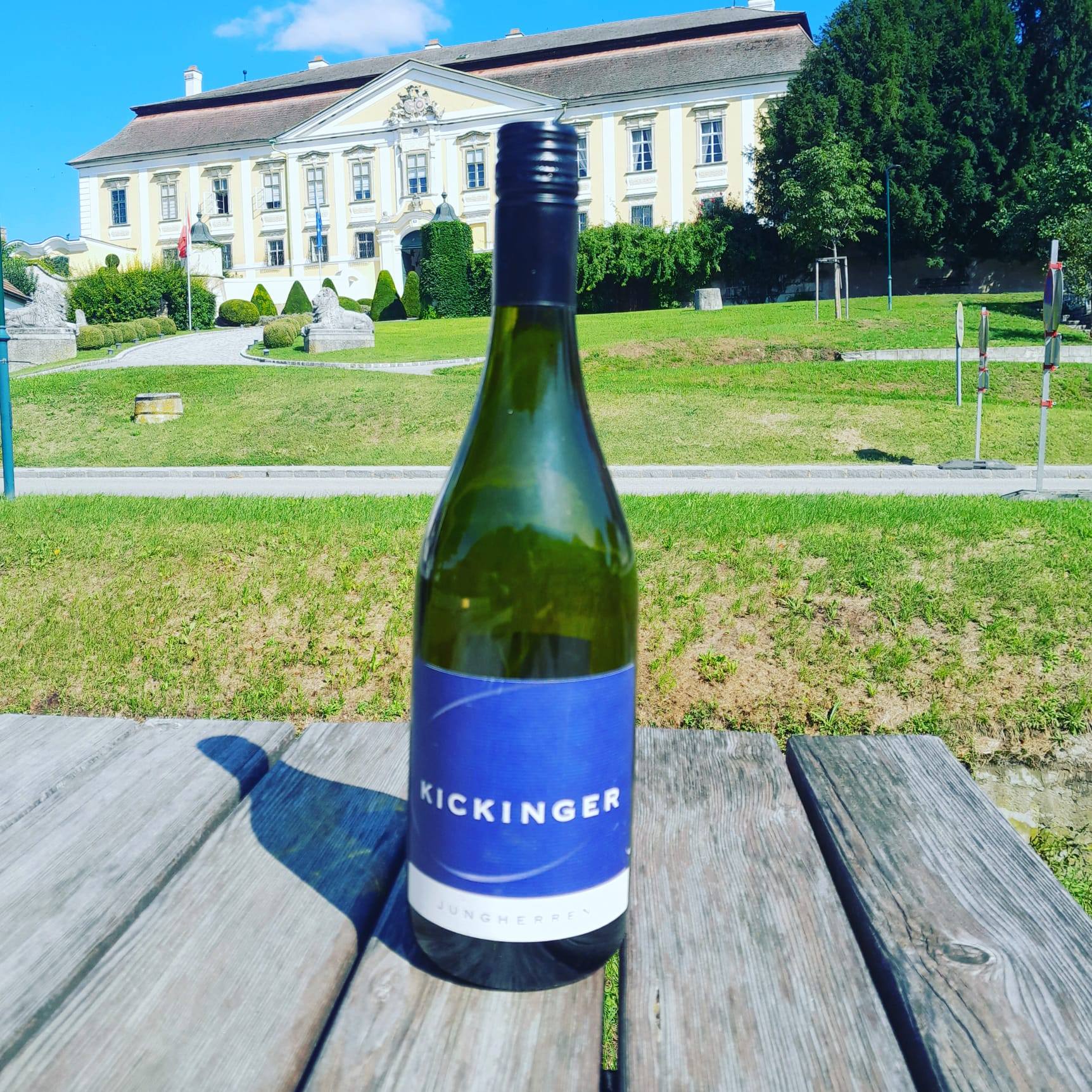 🍇 J. A. Kickinger – Vienna Region Winery Tour & Tasting 2026
